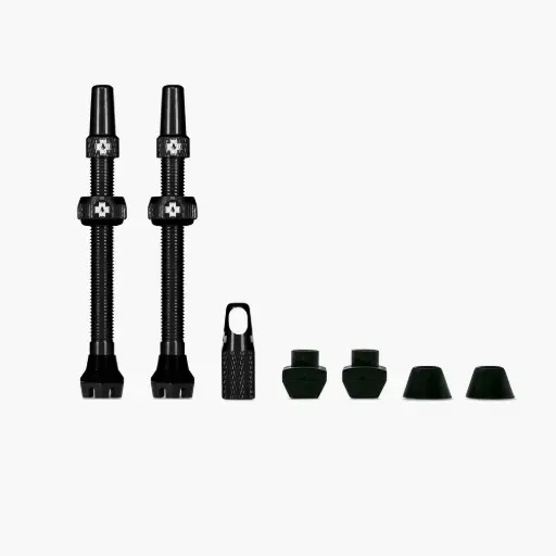 Kit de valves tubeless V2 (paire)